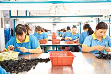Factory facility photo 4