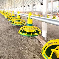 Factory and facilities of Cangzhou Help Poultry Equipment Co., Ltd.