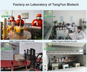 Factory facility photo 4