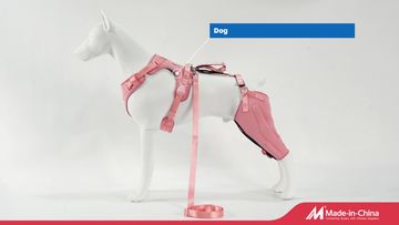Factory and facilities of Xiamen Furvorite Pet Supplies Co., Ltd.