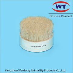 Factory and facilities of YANGZHOU WANTONG ANIMAL BY-PRODUCTS CO., LTD.