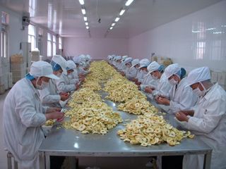 Factory facility photo 2