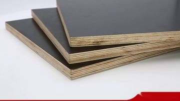 Factory and facilities of Linyi Tonghe Trade Co., Ltd.