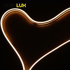 Factory and facilities of Forelux Lighting Technology Co., Ltd.