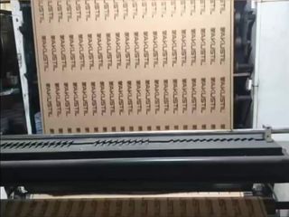 Factory and facilities of Qingdao Zhiyan Packaging Co., Ltd.