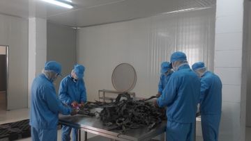 Factory facility photo 2