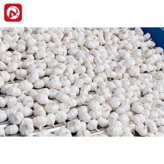 Factory and facilities of Xuzhou Zhiyuanhong Supply Chain Management Ltd.