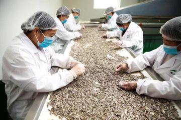 Factory facility photo 2