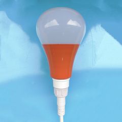 Factory and facilities of Huizhou More Green Light Co., Ltd.