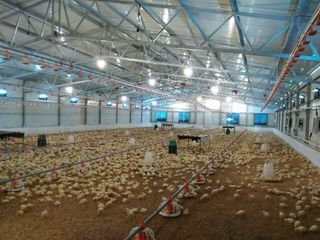 Factory facility photo 5