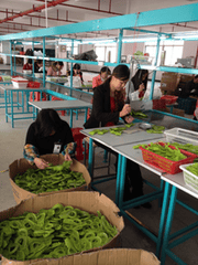 Factory facility photo 5