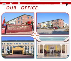 Factory and facilities of Dezhou Strongway Fitness Equipment Co., Ltd.