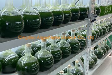 Factory facility photo 5