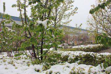 Factory facility photo 5