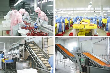 Factory and facilities of Qingdao LC Commercial &amp; Trade Co., Ltd.