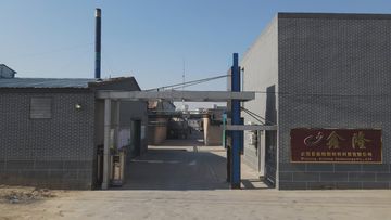 Factory and facilities of Hengshui Jingwei Zongheng Import and Export Co., Ltd.