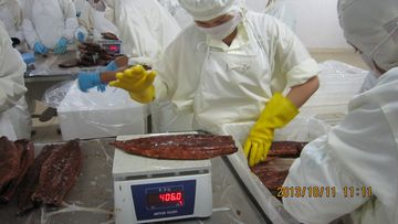 Factory facility photo 2