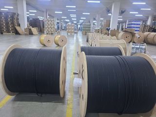 Factory and facilities of Shenzhen Hanxin Communication Optical Fiber Cable Co., ...