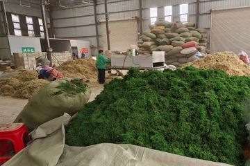 Factory facility photo 3