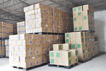 Factory and facilities of Tianjin Great Hygiene Products Co.,Ltd.