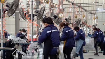 Factory and facilities of Hebei Jinshi Industrial Metal Co., Ltd.