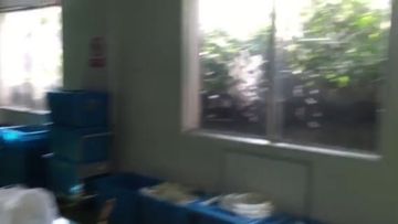 Factory and facilities of NEO MEDICAL PRODUCTS ( GUANGZHOU) CO., LTD.