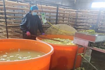Factory facility photo 5