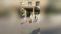 Factory and facilities of Quyang Perfect Sculpture Factory