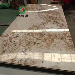 Factory and facilities of Shandong Wanglu New Material Co., Ltd