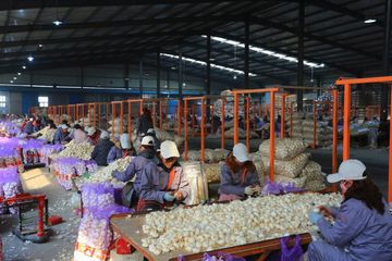 Factory facility photo 2