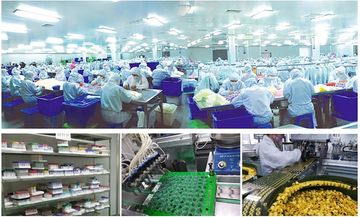 Factory facility photo 5