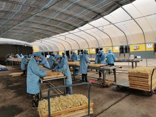 Factory and facilities of YOUTHSUN HERBS CORPORATION