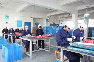 Factory facility photo 4