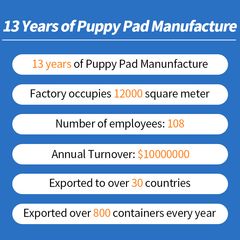 Factory and facilities of Nantong Jincheng Zencare Technology Co., Ltd.