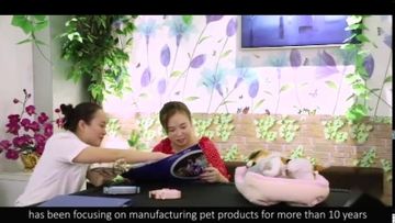 Factory and facilities of Shenzhen Sweetpet Pet Product Co., Ltd.
