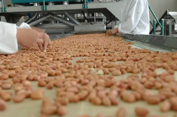 Factory facility photo 3
