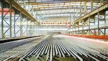 Factory and facilities of Handan Topmetal Co., Ltd.