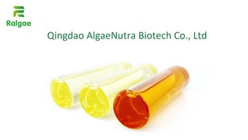 Factory and facilities of Qingdao Algaenutra Biotech Co., Ltd.
