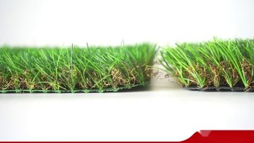 Factory and facilities of Hebei Shendu Commerce Co., Ltd.