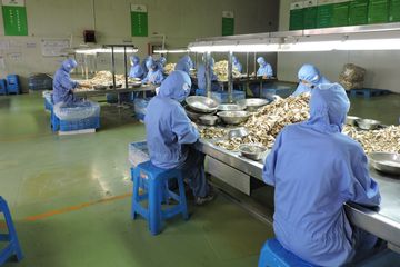 Factory facility photo 5
