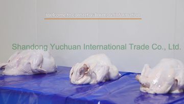 Factory and facilities of Shandong Yuchuan International Trade Co., Ltd.