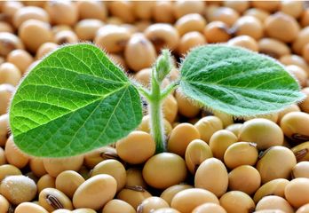 Factory and facilities of Shanghai Touchhealthy Biotechnology Co., Ltd