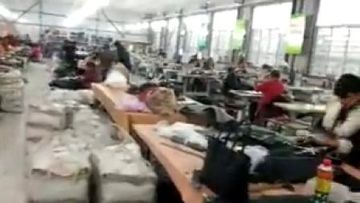 Factory and facilities of Hebei Blue Whale Import and Export Trading Co., Ltd.
