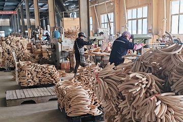 Factory facility photo 5