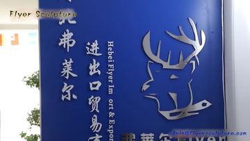 Factory and facilities of Hebei Flyer Import &amp; Export Trading Co., Ltd.