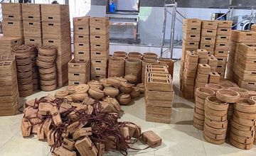 Factory and facilities of Suzhou Bongo Import &amp; Export Co., Ltd.