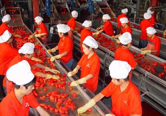 Factory facility photo 4