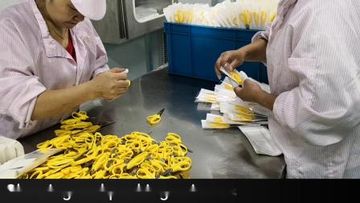 Factory and facilities of CHINA HUAMEI MEDICAL INSTRUMENT CO., LTD.