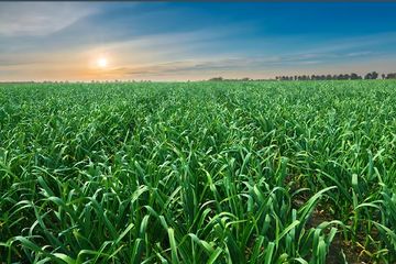 Factory and facilities of Henan Leming Agriculture Co., Ltd.