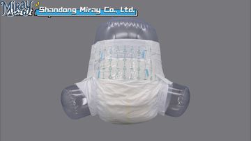 Factory and facilities of Shandong Miray Co., Ltd.